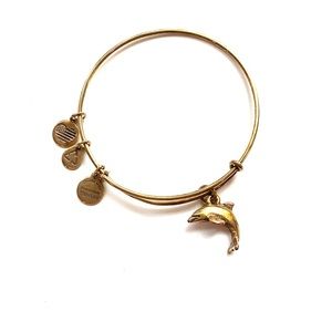 Alex and Ani gold dolphin bracelet
